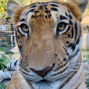 Meet your Posher, Kail